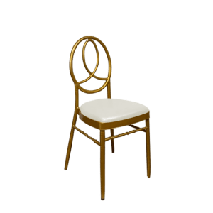 Dior Gold Chair