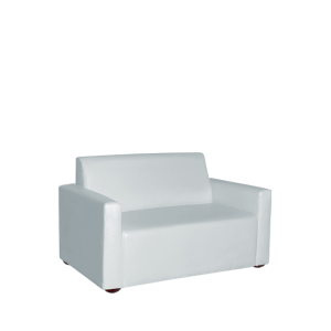 2 Seaters Sofa with Arm Rest