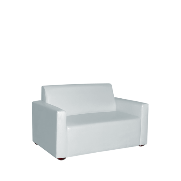 2 Seaters Sofa with Arm Rest